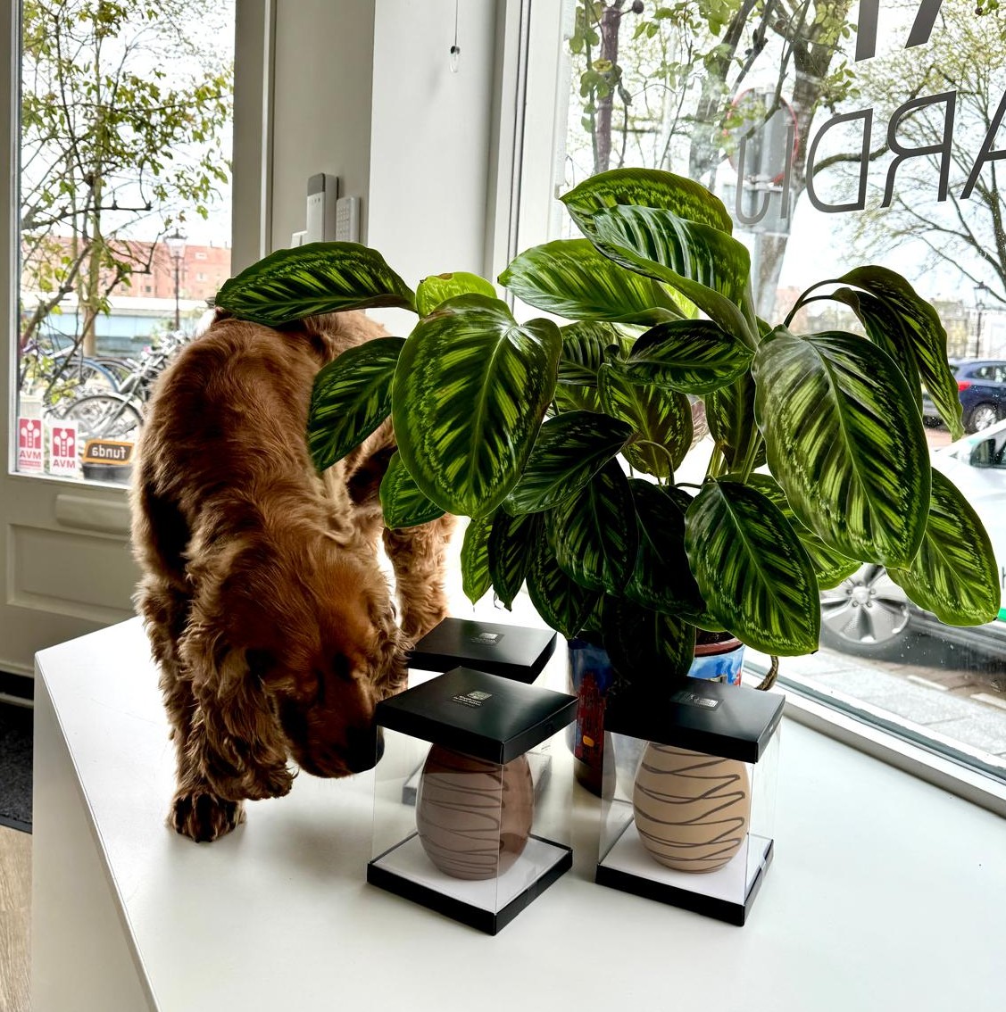 Aangepaste openingstijden ivm Pasen